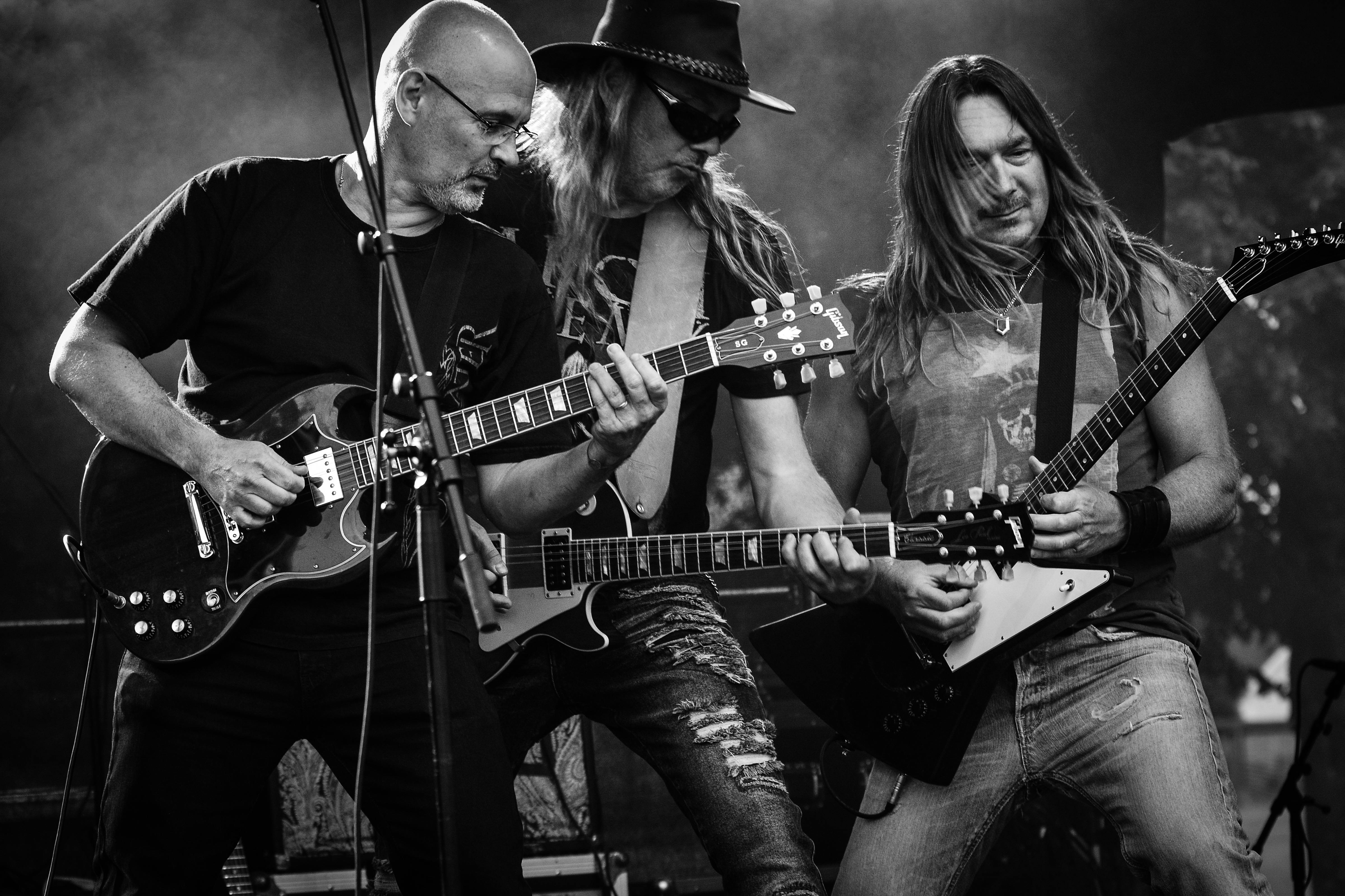 Image du groupe Verdant Era